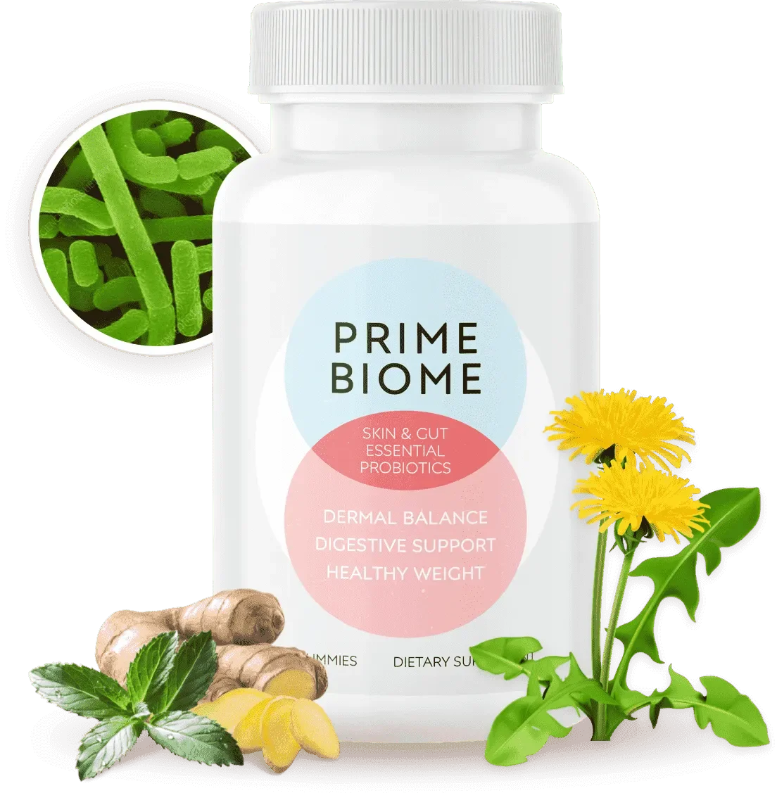 primebiome bottle 1